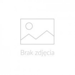 Brak_zdjecia